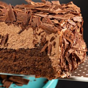 pote mousse fatia